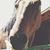 Ayanna Adele's profile image