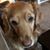 Laura Raglow's profile image