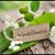 Terri King Parece's profile image
