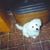 Lori Glotzbecker's profile image