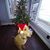 Donna Norkus's profile image