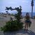 Holly Shewmake's profile image