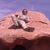 Tony Pullan's profile image