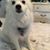 Sheyanne Shular's profile image