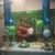 Alberta Aparicio's profile image