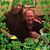Ken Stevenson's profile image