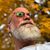 Greg Martin's profile image