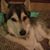 Diane Hartman's profile image