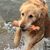 Kathy Reif's profile image