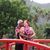 RayandMelanie Caudillo's profile image