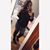 Jackie Brown's profile image