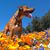 Dan Estrin's profile image