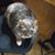 Edna Kokenge Randall's profile image