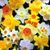 Donna Sinkus Muscente's profile image