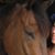 Kathryn Webers's profile image