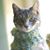 Monica Parmele's profile image