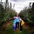 Stacey Camp's profile image