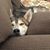 Tracy Aberle Hansen's profile image