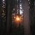 Linda Laverty's profile image