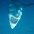 Jeff Houghtaling's profile image