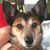 Robyn Berg's profile image