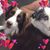 Marianne E Haas's profile image