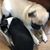 Terry DeMoss Ruby's profile image