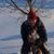 Donnie Hogue's profile image