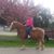 Patricia Bryan's profile image