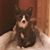 Janet Elizabeth's profile image