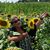 Kellie Flor-Robinson's profile image