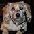 Paula Vern's profile image