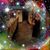 Monica Susan Walton's profile image