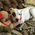 Sonya Honeycutt Myers's profile image