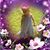 Cobie Park Coble's profile image