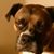 Thomas Goldin's profile image