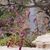 Lorena Gonzalez-Hoffman's profile image