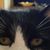 Melva Payne's profile image