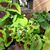 Angela Lee Watson's profile image