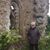 Jorge A. Escajadillo Aceff's profile image