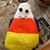 Nancy Hunter's profile image