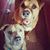Jolie Capps Renihan's profile image