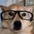 Kyle Dino Mangino's profile image
