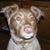Kelly Schaefer's profile image