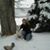 Samantha Lee's profile image