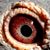 Ave Fenix Loft's profile image