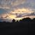Patricia Fisher Jumonville's profile image