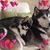 Dawn Lax's profile image