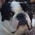 Cynthia Louise Carey's profile image