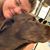 Stephanie Saunders's profile image
